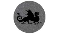 COASTER-R-DRAGON - Dragon Granite Coaster