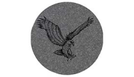 COASTER-R-EAGLE - Customized Eagle Coaster