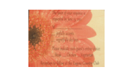 REPLY-FLOWER-SABRINA - Wooden Veneer Reply (Colored Flower Sample)