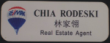 Offering Archon Group name tags.  Beautiful Silver name tag with the Archon logo in Teal with the name printed in black.