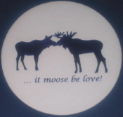 It Moose Be Love Coaster