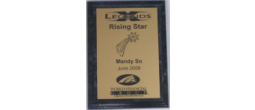 PLAQUE-ECONOMY MARBLE - Rising Star Plaque Sample